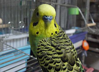 f0196665_17357.jpg