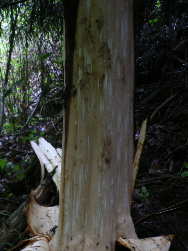 f0065568_213389.jpg