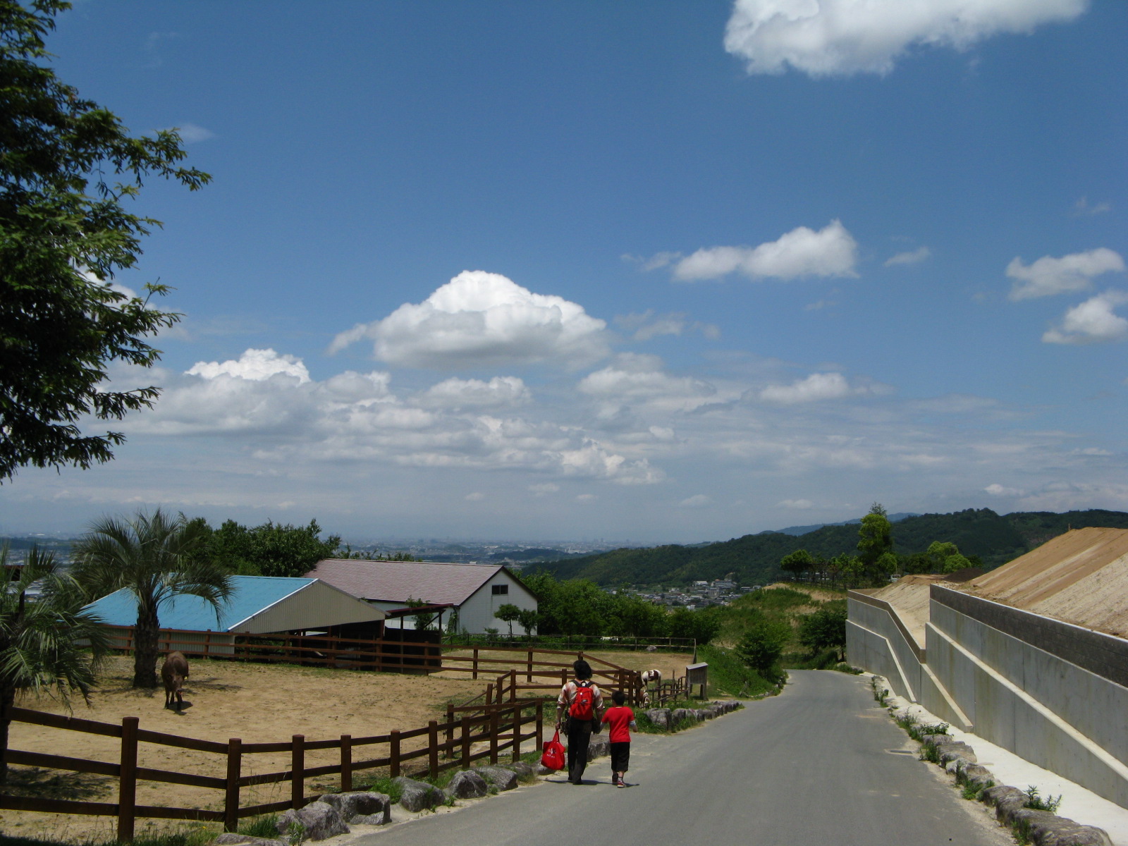 a0114469_2244599.jpg