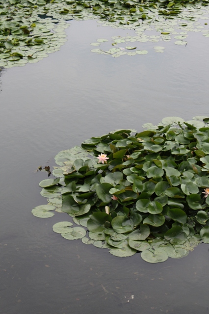 香港　屏山文物径めぐり_c0135971_21465637.jpg
