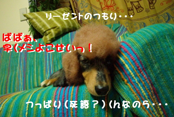f0195891_1618216.jpg