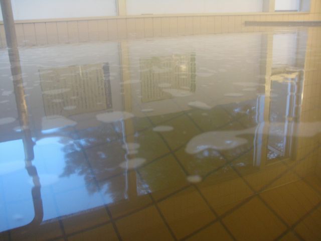 c0099395_5244897.jpg