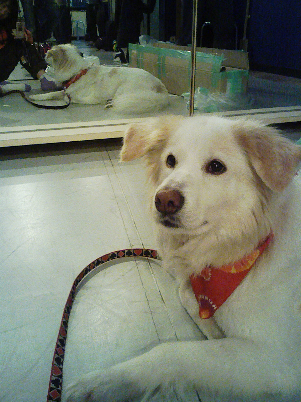 a0032004_21392022.jpg