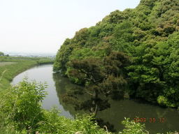 a0048609_673531.jpg