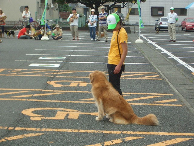 富士ドッグサポーターズクラブ発起大会　第１回ワンワンの集い_f0141310_2338236.jpg