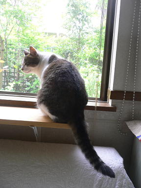 c0101913_034316.jpg