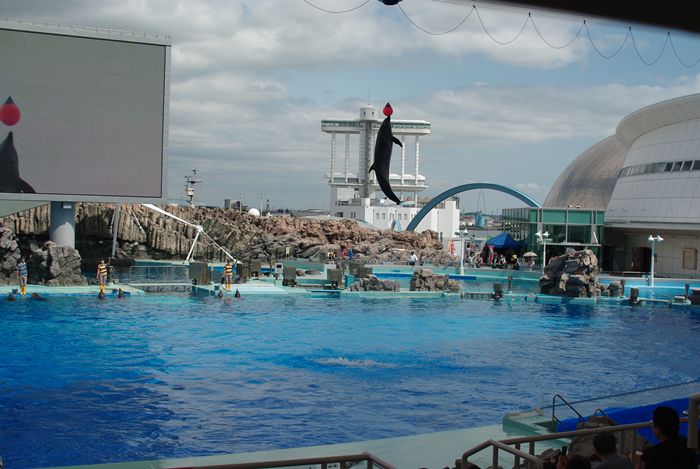 f0195813_01167.jpg