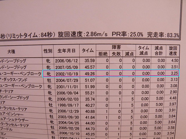 アジリティ競技会in遠賀☆_c0127617_2113826.jpg