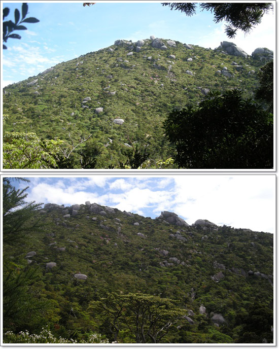 d0080118_00293.jpg