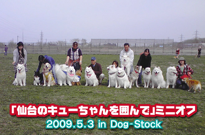 a0044521_06570.jpg