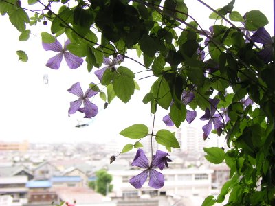 b0031925_19364918.jpg