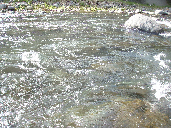 f0103126_19513366.jpg