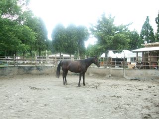 f0035830_13591072.jpg