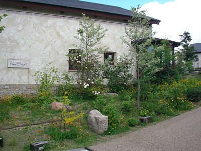 c0038434_16165463.jpg