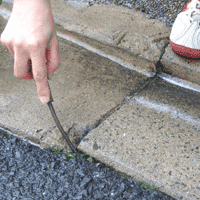 d0033734_1136355.gif
