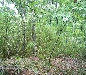 f0161535_00159.jpg