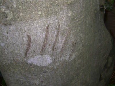 e0110940_8395921.jpg