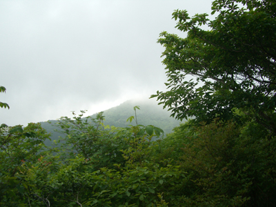 e0110940_8402691.jpg
