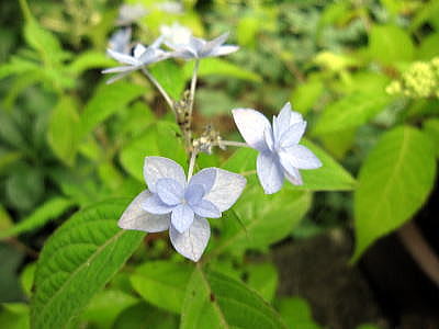 c0147952_20321658.jpg