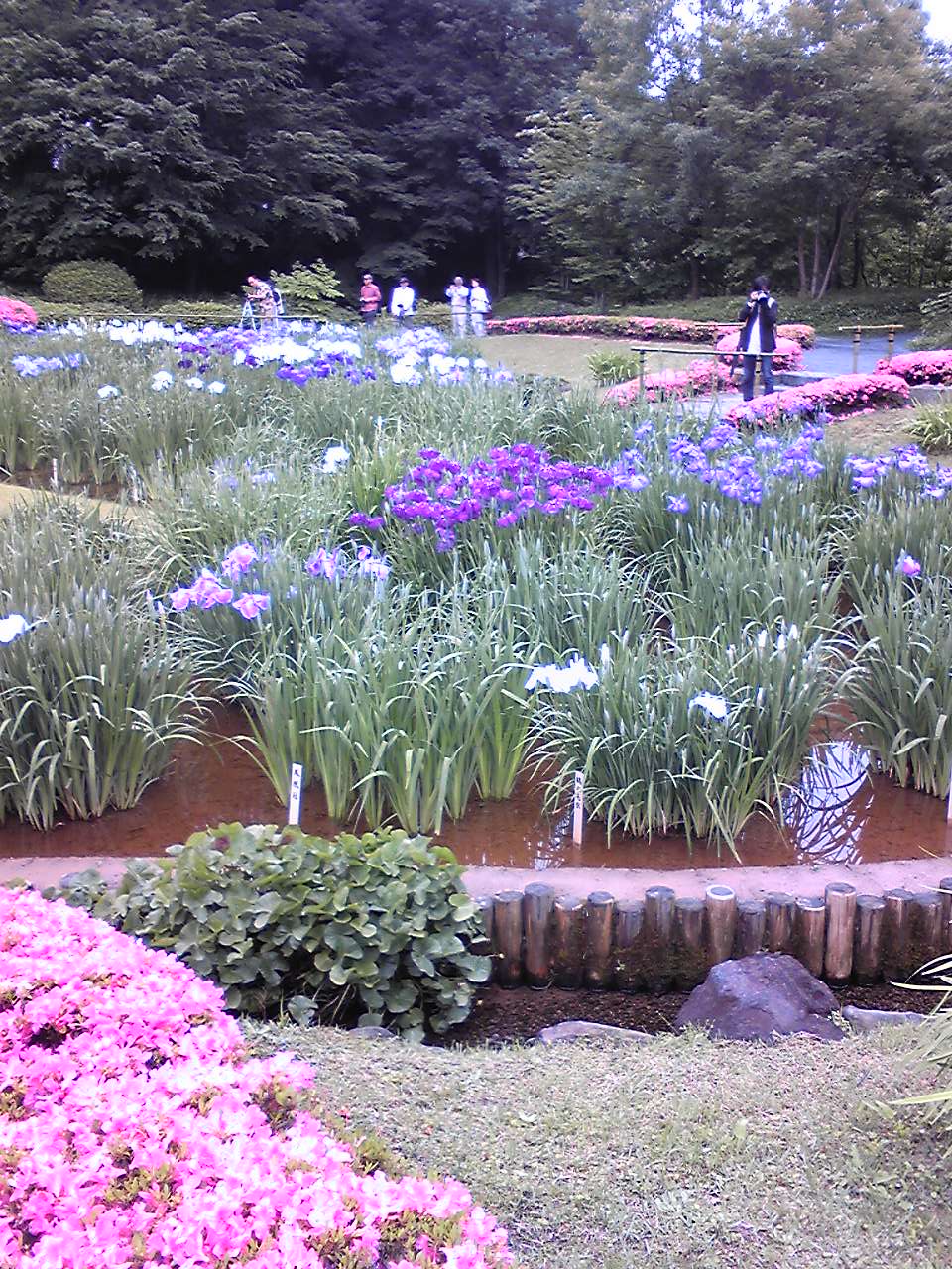 産経学園の実習~皇居東御苑_d0082655_21461027.jpg