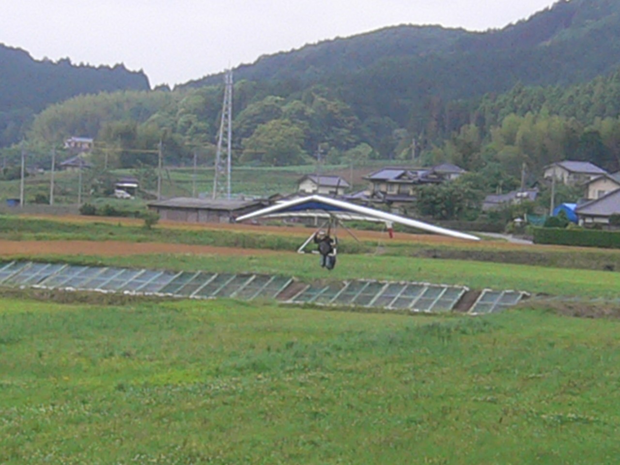 週末&今日_a0069056_17414667.jpg
