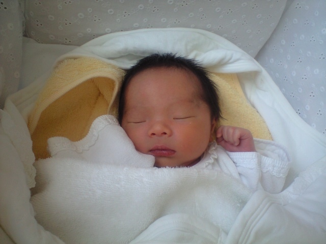 今年を振り返る。。 2009.5.31_b0002156_8213871.jpg