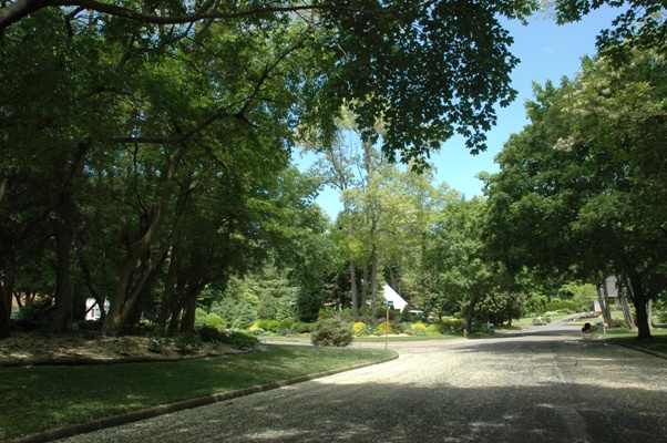 c0055857_1115141.jpg