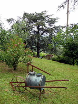 Cantine Aperte 2009_f0077159_5121340.jpg