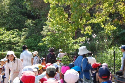 c0108460_17231729.jpg