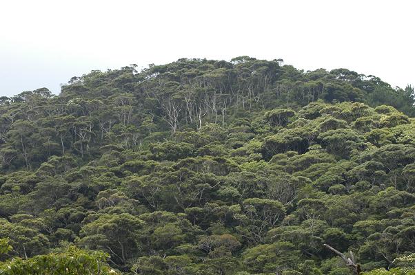 c0180460_60217.jpg