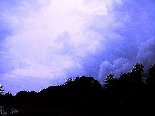 f0084561_14581612.jpg