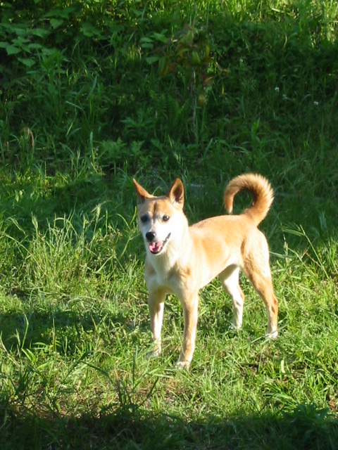 f0201562_7155595.jpg