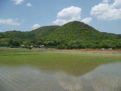 初夏の京都速報です。_b0112263_21404745.jpg