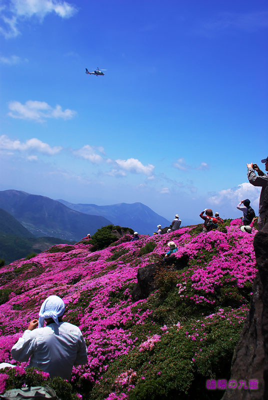 f0173067_22312831.jpg