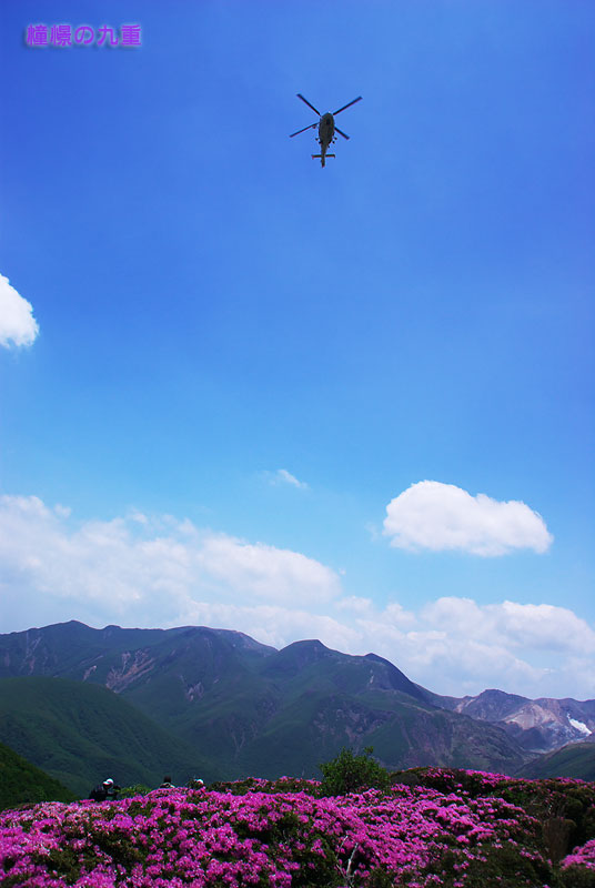 f0173067_22314867.jpg