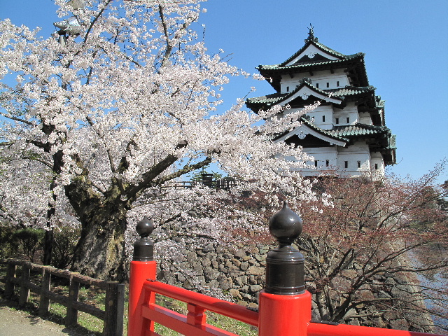 弘前公園桜_b0184468_23575255.jpg