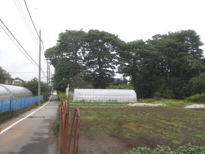 栄緑地で今年初めて聴くカッコウ：立川市・国分寺市_c0112172_00938.jpg