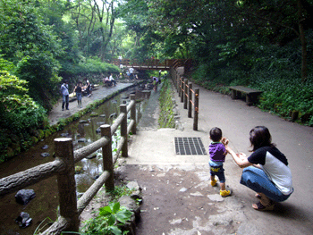 柿田川公園へ_b0155675_18234221.gif