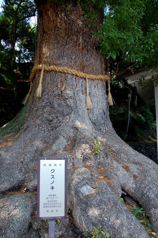 e0169286_050476.jpg