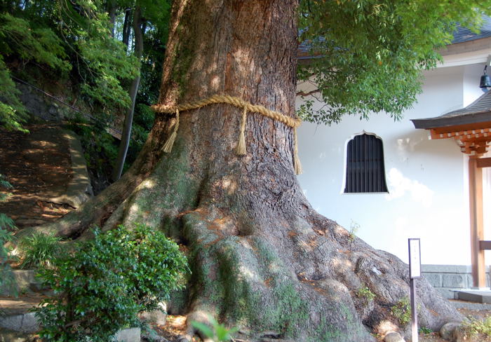 e0169286_0514559.jpg