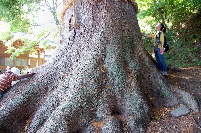 e0169286_0535097.jpg