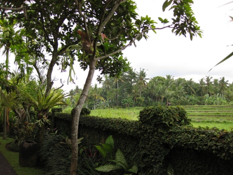 f0195286_16463380.jpg