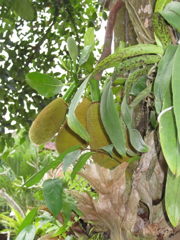 f0195286_16542523.jpg