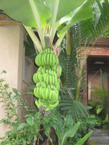 f0195286_1654422.jpg