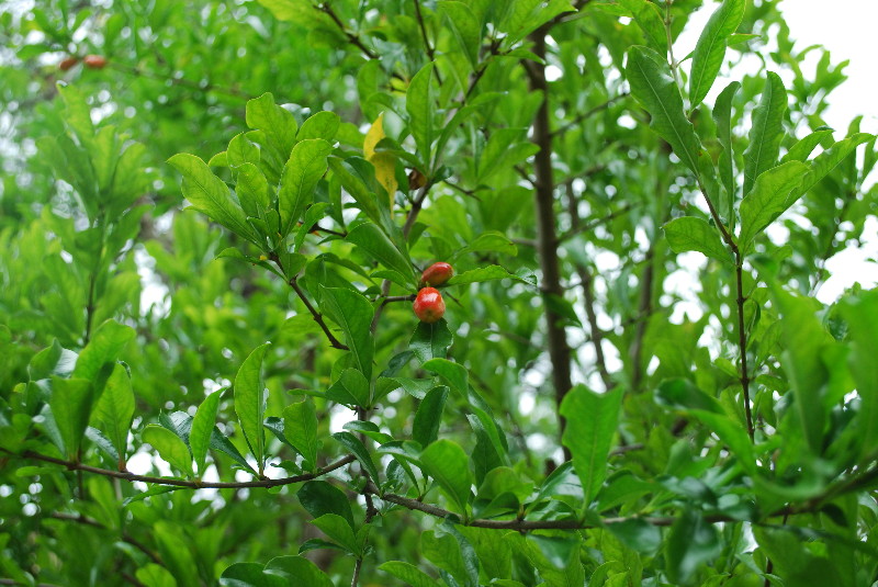 c0132387_23281590.jpg