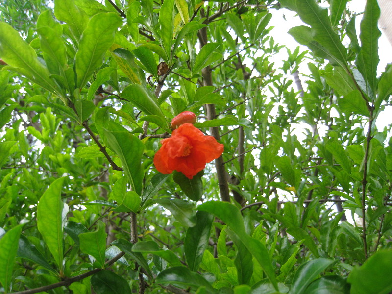 c0132387_23284137.jpg
