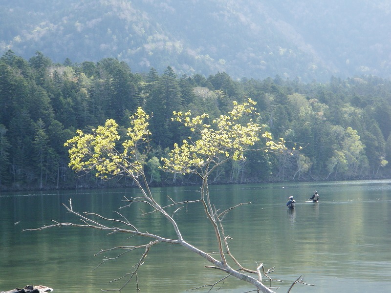 Fishing Land・・・・・And, The  Magic　minnow!_d0078790_23553025.jpg