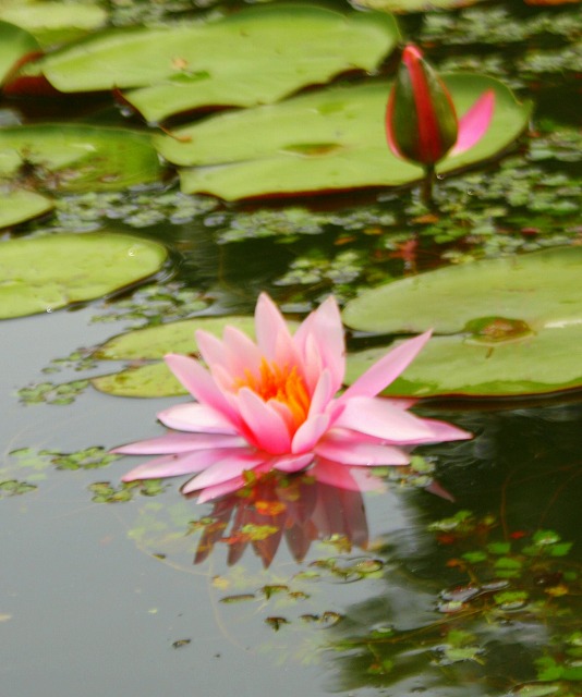 d0099995_0571727.jpg