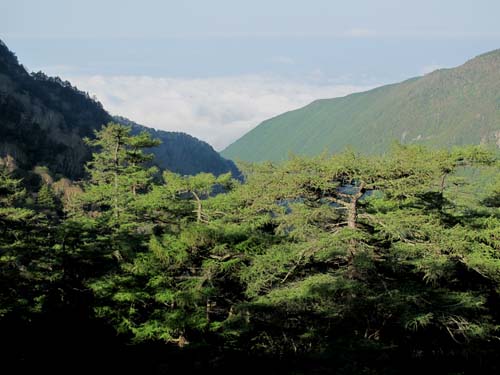 e0120896_6421790.jpg
