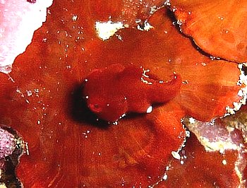 f0079996_19182240.jpg